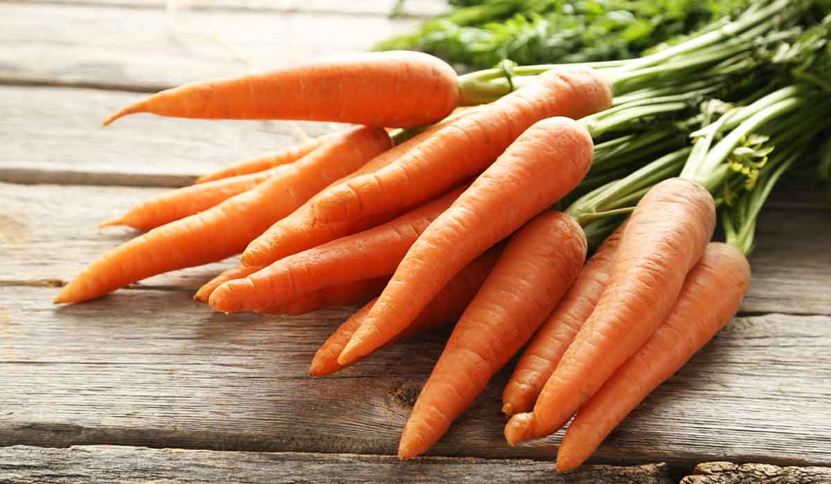 Scopri di più sull'articolo LA CAROTA NOVELLA DI ISPICA IGP: PERCHÉ È COSÌ UNICA?