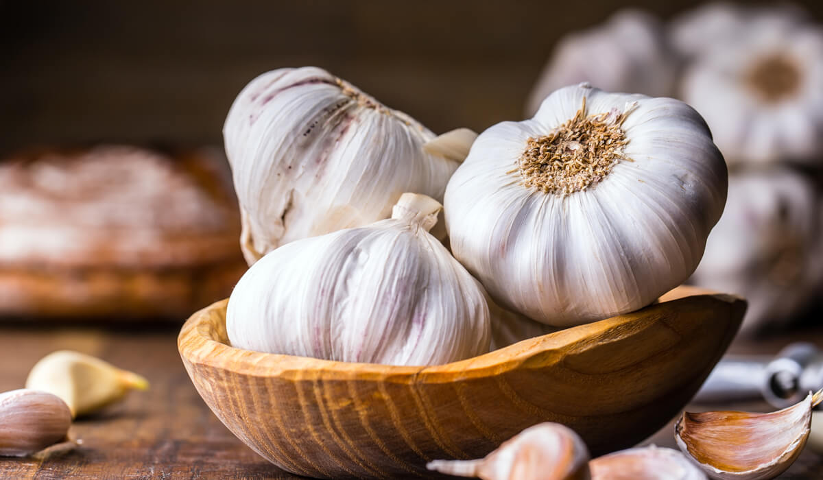 Scopri di più sull'articolo AGLIO, UN TESORO IN CUCINA E PER LA SALUTE