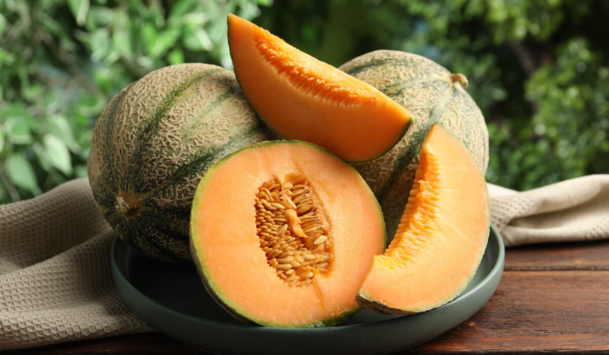 Scopri di più sull'articolo IL MELONE “CANTALUPO” O “RETATO”: CARATTERISTICHE, PROPRIETÀ, SCELTA E USI IN CUCINA